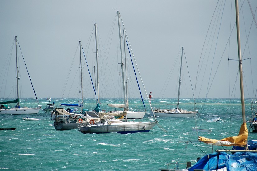 03.22- Les bateaux dans l'avant-port se font brasser.JPG
